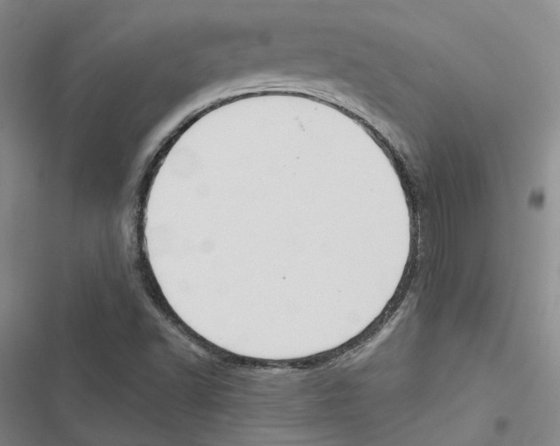 X0000116891502201001191754