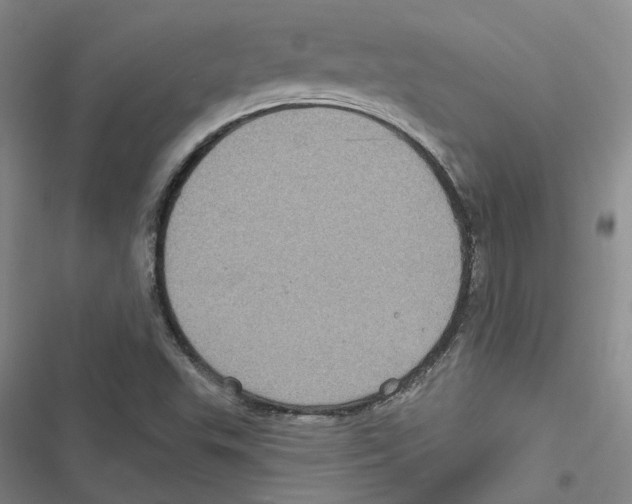 X0000116891503201001191754