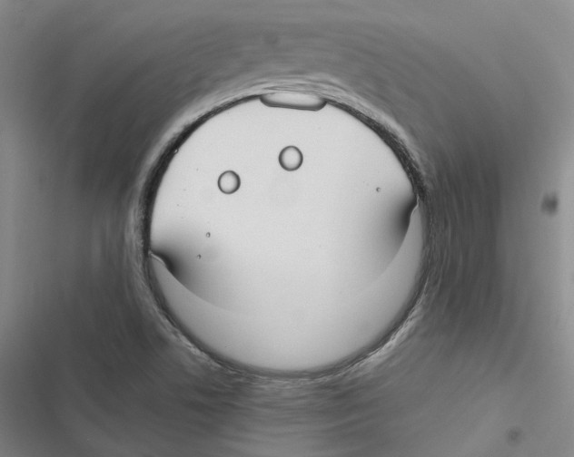 X0000116891506201001191754