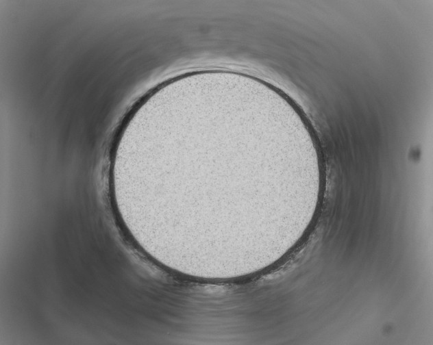 X0000116891507201001191754