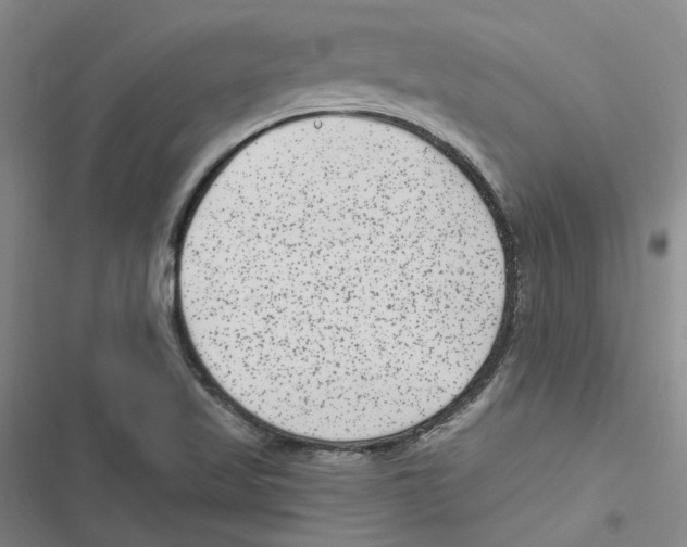 X0000116891509201001191754