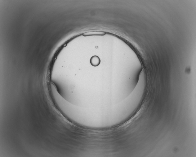 X0000116891510201001191754