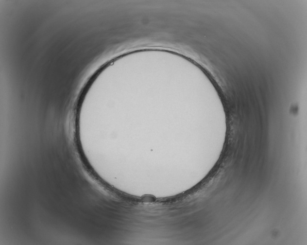 X0000116891511201001191754