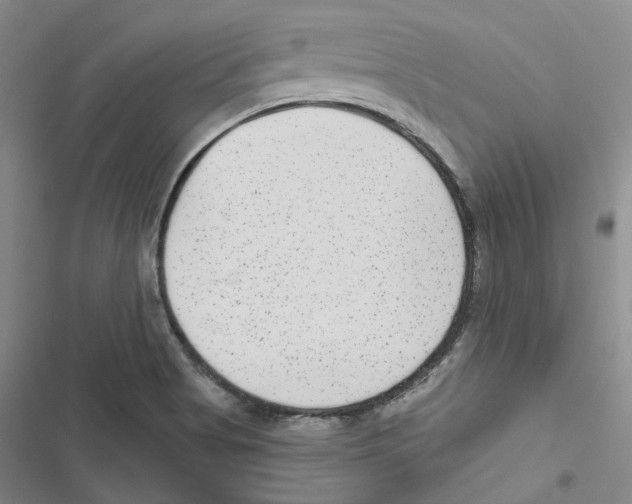 X0000116891513201001191754