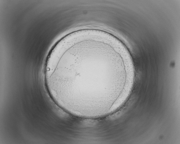 X0000116891514201001191754