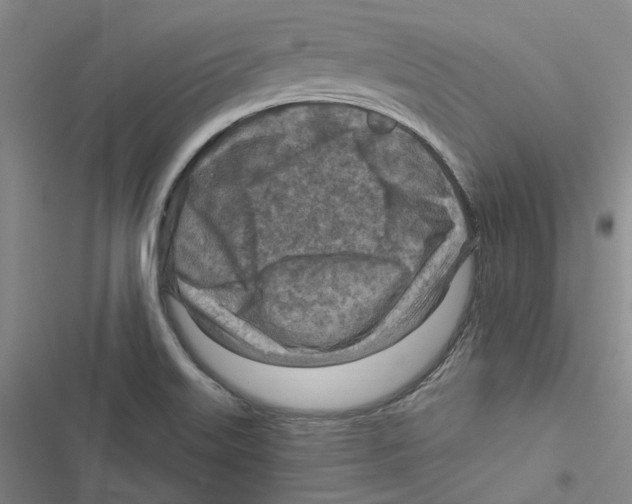 X0000116891515201001191754