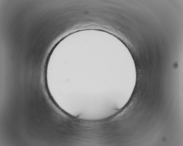 X0000116891518201001191755