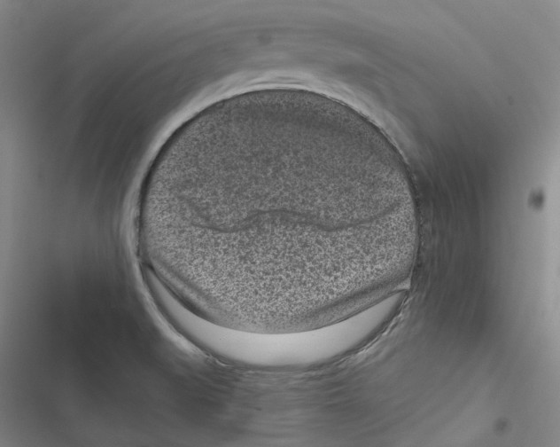 X0000116891519201001191755