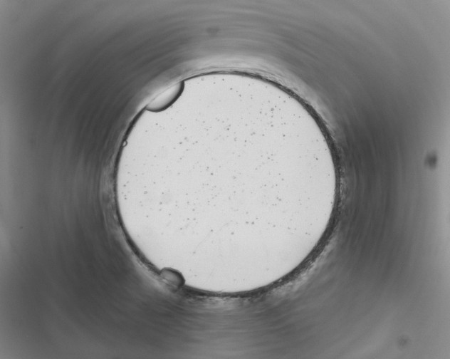 X0000116891521201001191755