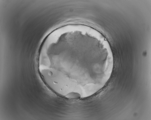 X0000116891522201001191755