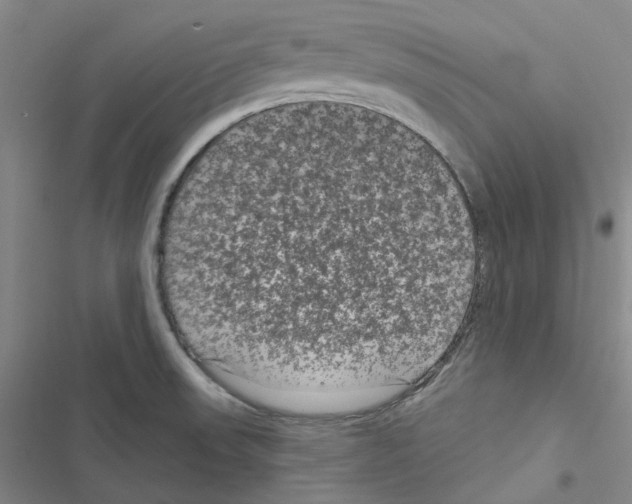 X0000116891523201001191755