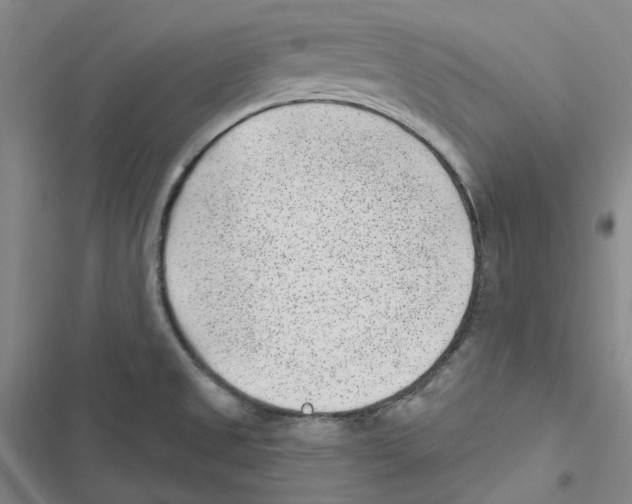 X0000116891525201001191755