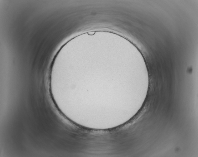 X0000116891526201001191755