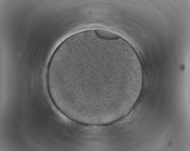 X0000116891527201001191755