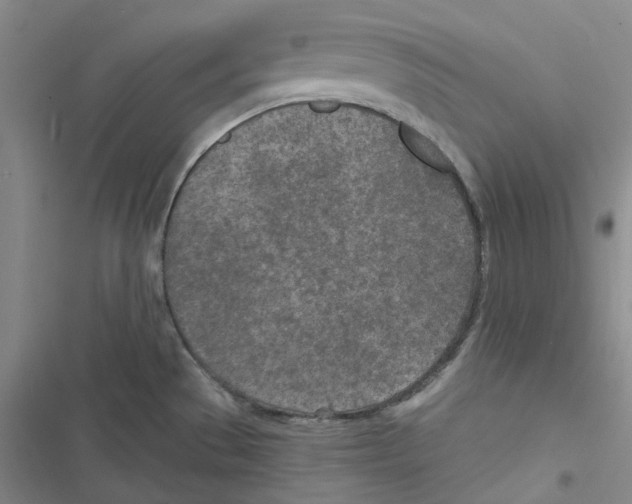 X0000116891529201001191755