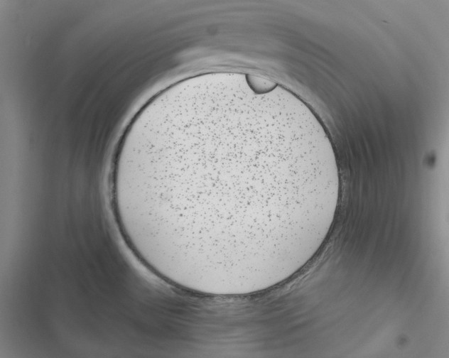 X0000116891531201001191755