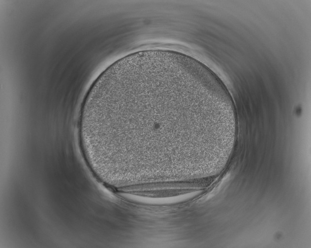 X0000116891533201001191755