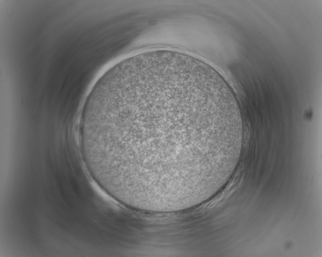 X0000116891535201001191755