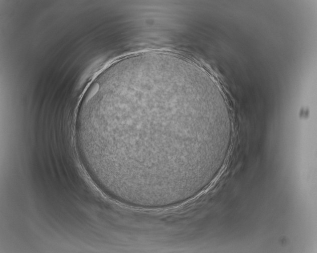 X0000116890002201002021219