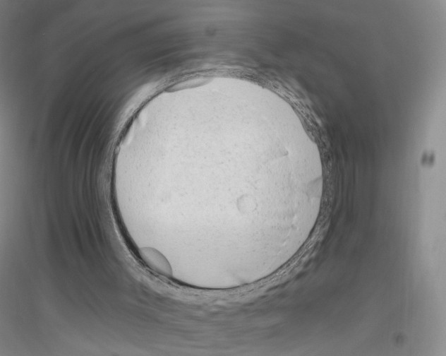 X0000116890003201002021219