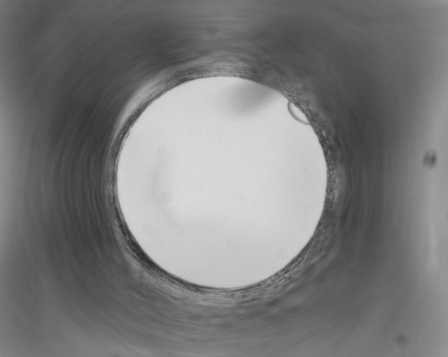 X0000116890004201002021219