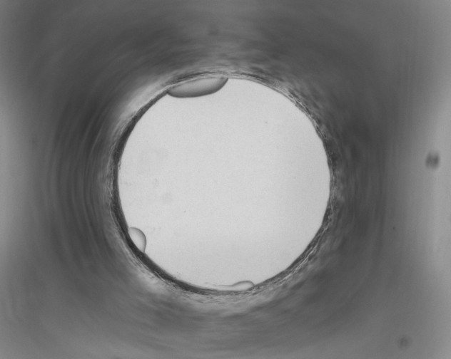 X0000116890005201002021219