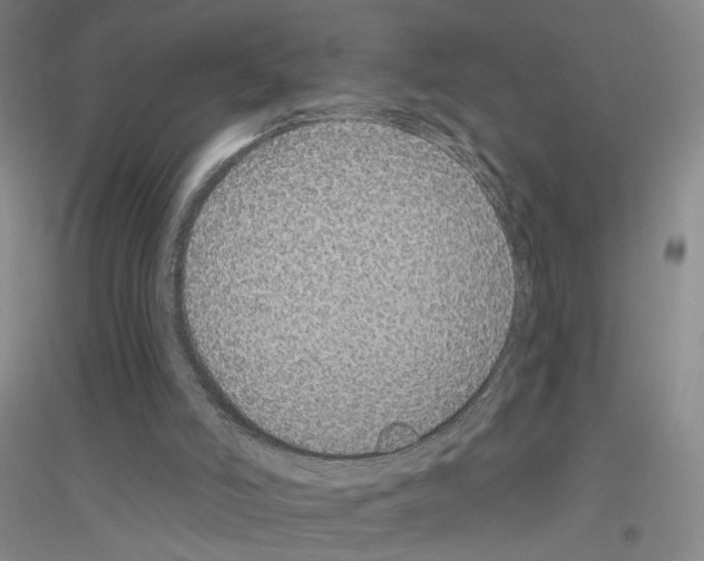 X0000116890006201002021219