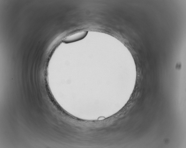 X0000116890007201002021219