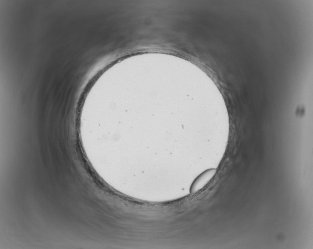 X0000116890008201002021219