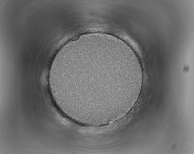 X0000116890009201002021219