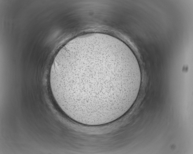 X0000116890010201002021219