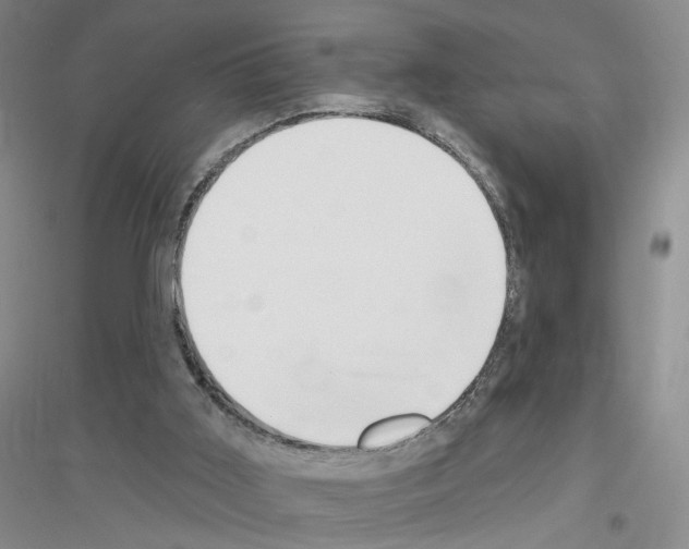 X0000116890011201002021219