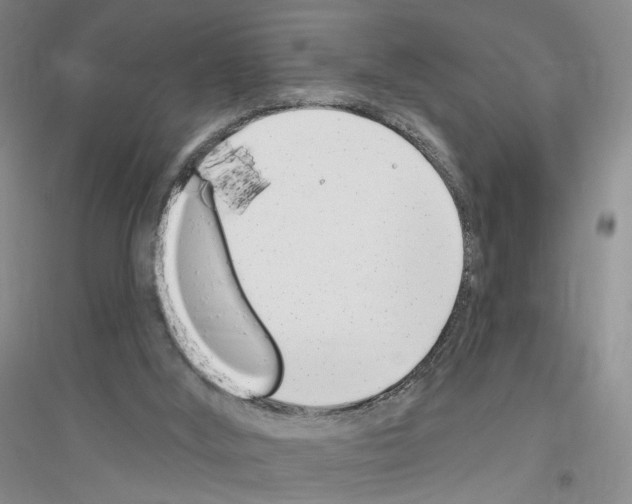 X0000116890012201002021219