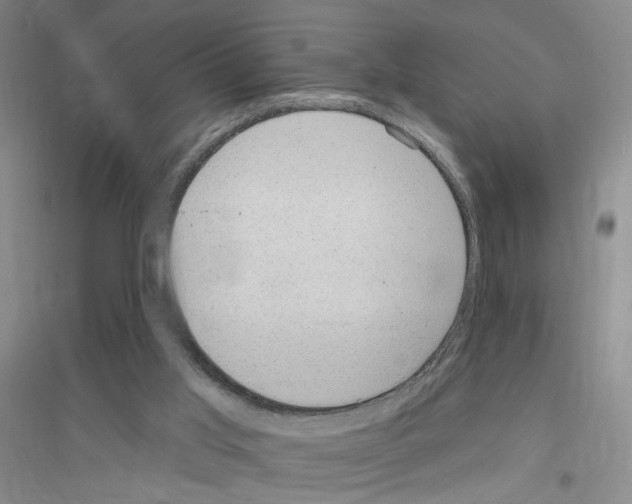 X0000116890013201002021219