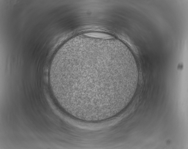 X0000116890014201002021219