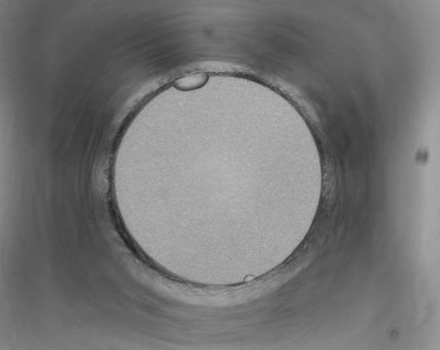 X0000116890015201002021219