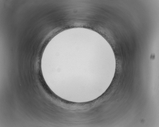 X0000116890016201002021218