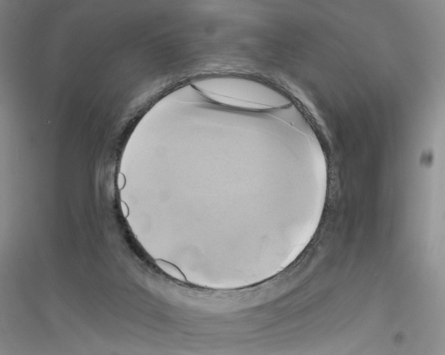 X0000116890019201002021218