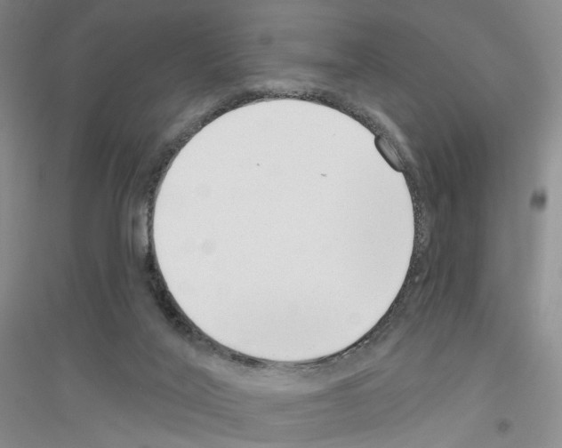 X0000116890020201002021218