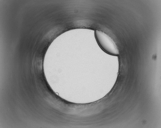 X0000116890021201002021218