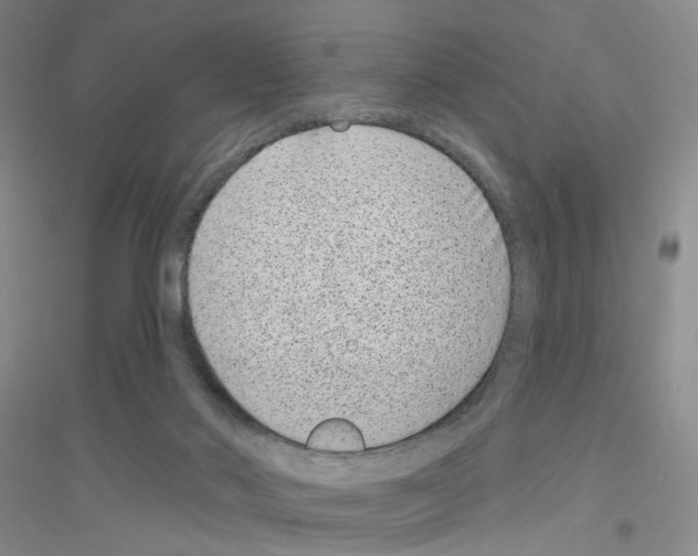 X0000116890022201002021218