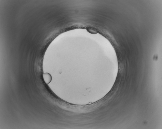 X0000116890023201002021218