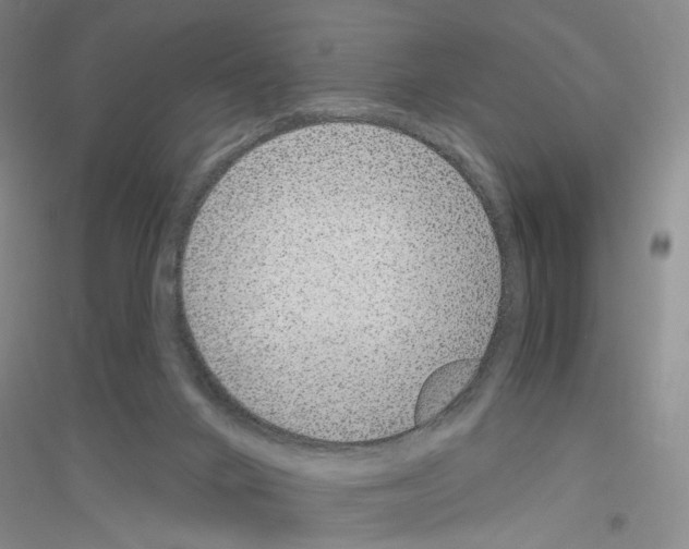 X0000116890024201002021218