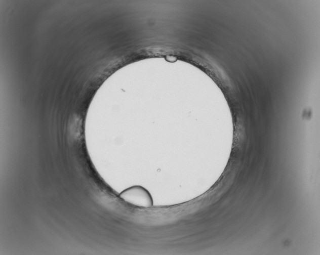 X0000116890025201002021218