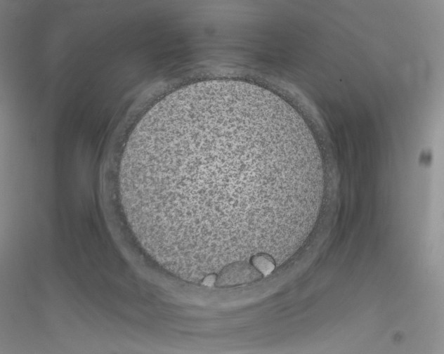 X0000116890026201002021218