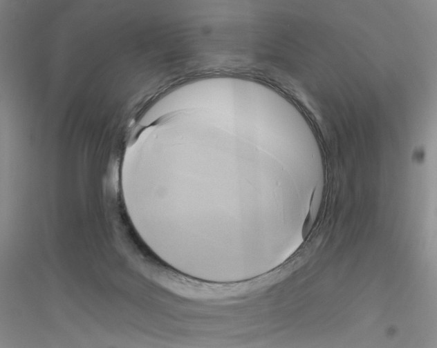 X0000116890027201002021218