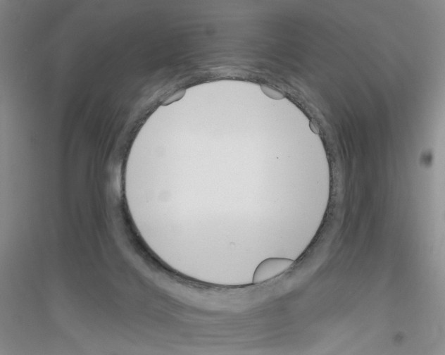 X0000116890028201002021218