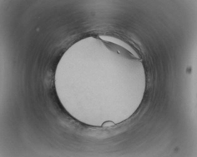 X0000116890029201002021218