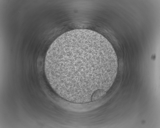 X0000116890030201002021218