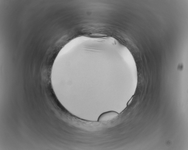 X0000116890031201002021218